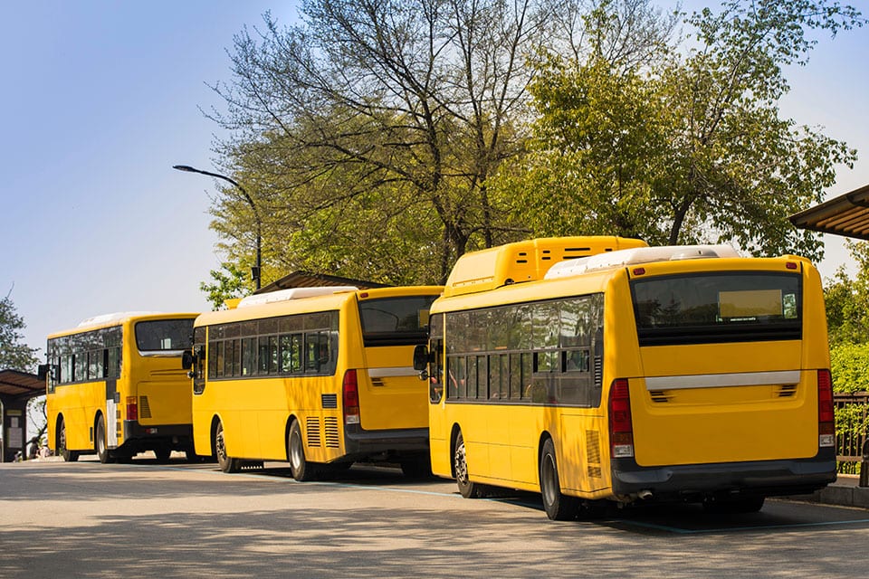 שלושה אוטובוסים צהובים ממתינים בקייב